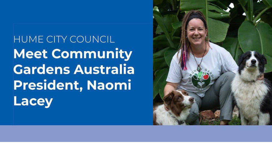 Hume Community Gardeners meet Naomi Lacey