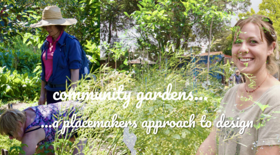 Community gardens: a placemaking approach to design