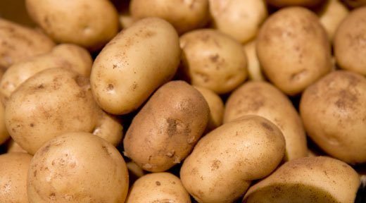 roots-potato