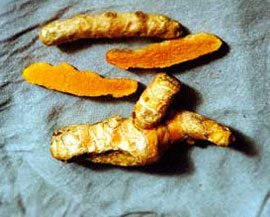 roots-tumeric