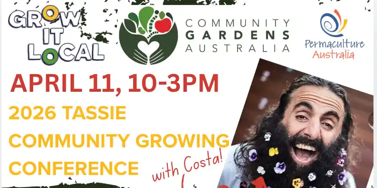 c5dRcqtcS7WdXJbl7nmm@responsive-2000